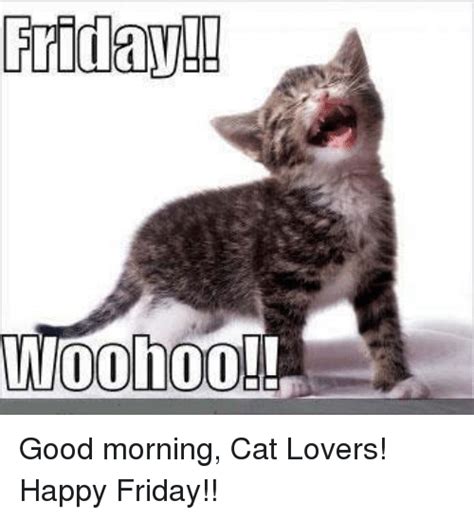 Friday Woohoo Good Morning Cat Lovers Happy Friday
