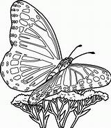 Coloring Pages Butterfly Butterflies Printable Kids Dessin Papillon Schmetterling Malvorlagen sketch template