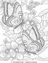 Butterfly Coloring Number Color sketch template