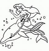 Dolphins Mermaids Delphine Malvorlagen Popular Coloringhome sketch template