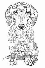 Mandala Coloriage Dachshund Animaux Cani Colorier Colorare Fabuleux Enfant Bassotto sketch template