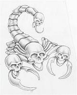 Scorpion Tattoo Skull Tattoos Drawings Deviantart Drawing Sketch Designs Stencil Skulls Sketches Outline Evil Pencil Tatoo Stencils Studio Tatuagem Dark sketch template