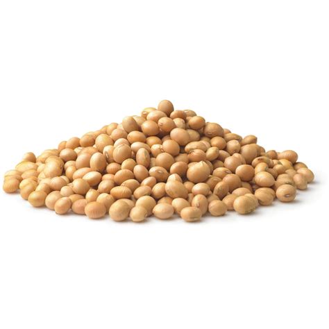 organic soybeans onlineorganics