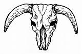 Skull Longhorn Bull Texas Stencil Drawing Cow Tattoo Choose Board Getdrawings Longhorns Stencils Tattoos sketch template