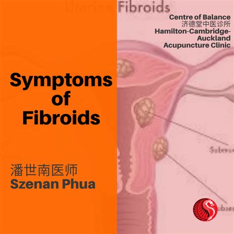 symptoms  fibroids  acupuncture hamilton nz