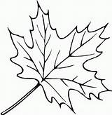 Fall Leaves Coloring Pages Printable Print sketch template