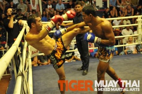 tiger muay thai fighters go 2 2 in patong thai boxing stadium on april