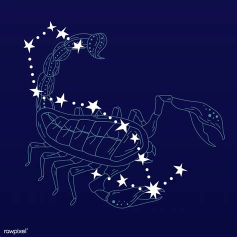 scorpio zodiac sign royalty  stock illustration