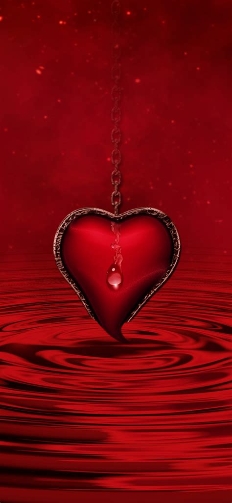 red heart wallpaper  water red background stars