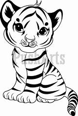 Tiger Face Simple Drawing Pages Getdrawings sketch template
