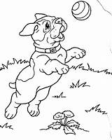 Coloring Puppies Pages Printable Kids sketch template