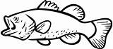 Bass Fish Clipart Fishing Largemouth Outline Clip Silhouette Drawing Coloring Patterns Border Background Jumping Pages Cliparts Template Drawings Birthday Stencils sketch template
