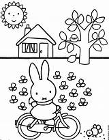 Miffy Nijntje Kawaii Zoeken Kinderkleurplaten Dierentuin Uitprinten Colouring Pasen Comicbook Buch Kinder Tiernos Downloaden Dieren Kleurplaatje Herfst Terborg600 Bezoeken Descargar sketch template