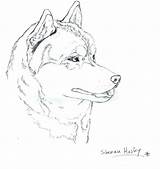 Husky Coloring Pages Printable Puppies Huskies Siberian Dog Getdrawings Color Popular Getcolorings sketch template