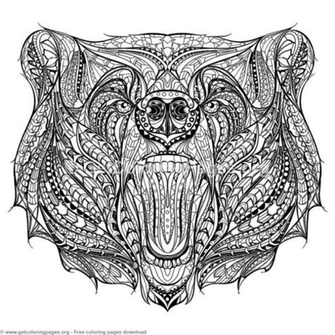 animal page  getcoloringpagesorg bear coloring pages adult