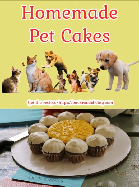 dog cake recipes pet friendly  roads living