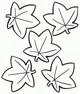 Coloring Pages Leaves Leaf Print Clipart Fall Library Walnut sketch template
