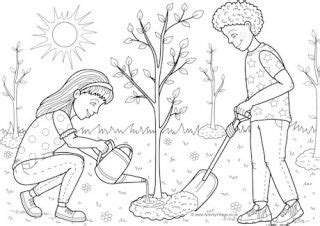 planting  tree colouring page tree coloring page coloring pages color
