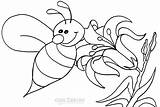 Bee Coloring Bumble Pages Honey Cute Cartoon Drawing Color Outline Beehive Printable Bees Bumblebee Kids Easy Animals Print Getcolorings Draw sketch template