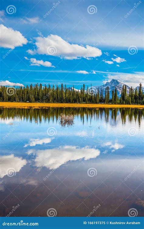shallow lake  canada stock image image  outdoors