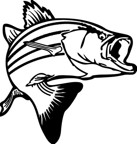 bass fish pictures clip art clipart