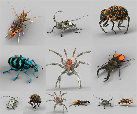 model insect collection vol  vr ar  poly cgtrader