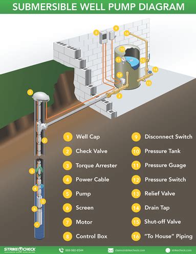 labeled  pump diagram strikecheck strikecheck