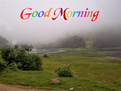 good morning wishes pictures images page