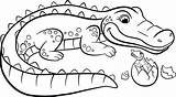 Crocodile Coloring Alligator Pages Baby Drawing Cute Kids Color Cartoon Animals Simple Printable Easy Book Getdrawings Alligators Mother Getcolorings Clipartmag sketch template