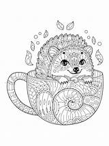 Coloring Hedgehog sketch template