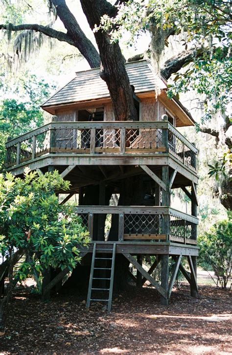 images  tree houses  pinterest