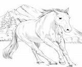 Coloring Pages Paint American Printable Horse Riders Horses sketch template