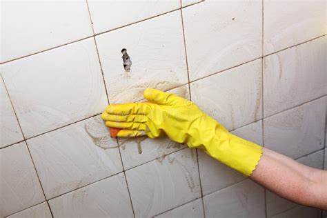 cleaning  dirty  tiles   bathroom stock image image  kitchen bathroom