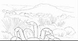 Habitat Coloring Pages Desert Animal Getcolorings Color sketch template