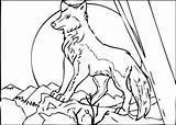 Lobos Printable Colouring Drawings Rincondibujos sketch template