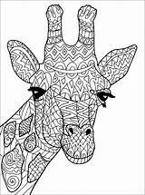 Coloring Giraffen Giraffes Jirafas Girafe Erwachsene Adultos Malbuch Justcolor Ausmalen Jirafa Ausdrucken Coloriages Disegni Colorare 1417 Girafes Tête Adulti Mandalas sketch template