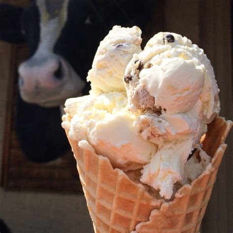 The Best Ice Cream Shops In Every State