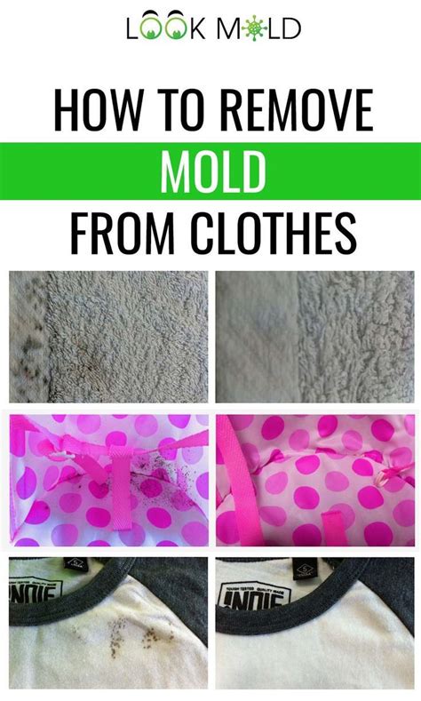 mold   clothes fabric remove mildew smell mold