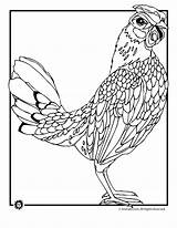 Coloring Pages Chicken Realistic Chickens Animal Adults Farm Color Animaljr Printable Ages Jr Drawing Gif Kids Printer Send Button Special sketch template