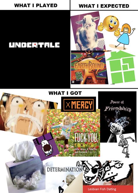 What I Watched What I Expected What I Got Undertale