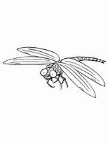Coloring Dragonfly Ladybird Topcoloringpages sketch template