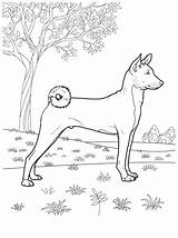 Coloring Dog Pages Coloringpagesforadult Teenagers sketch template