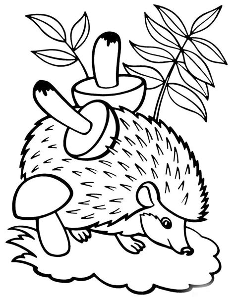 forest coloring pages  animals