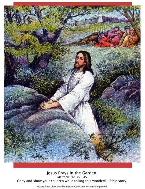 bible story pictures jesus   garden  gethsemane  scripture