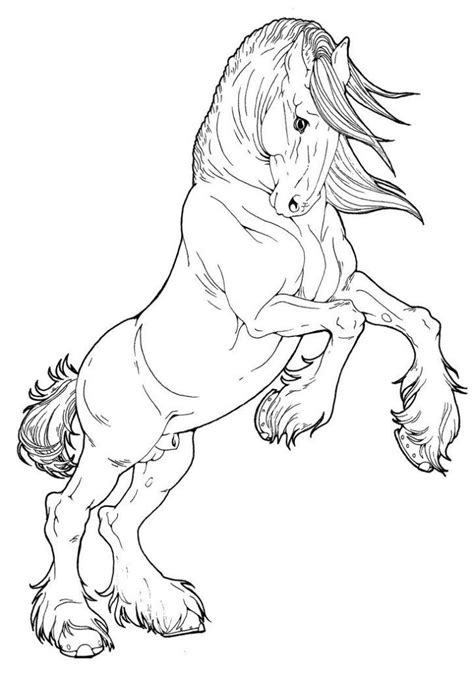 realistic horse coloring pages  adults   time