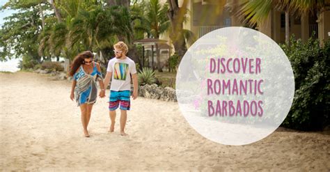 Romantic Bougainvillea Barbados Blog
