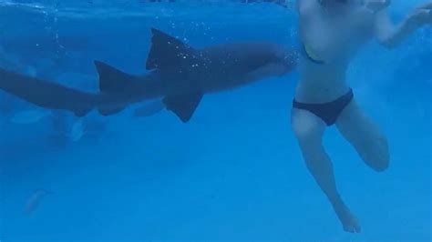 gma hot list woman bitten by a shark says my worst