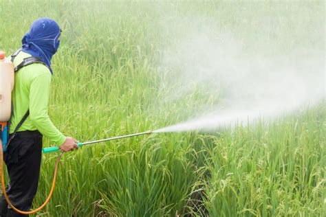quercetin protects  toxic effects  pesticides