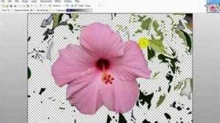 removing background  paint net  youtube photo backgrounds background remover image