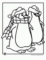 Coloring Penguin Pair Pages Christmas Cold Hat Santa Print Designlooter Use Printer Send Button Special Only Click Comments Animal Coloringhome sketch template